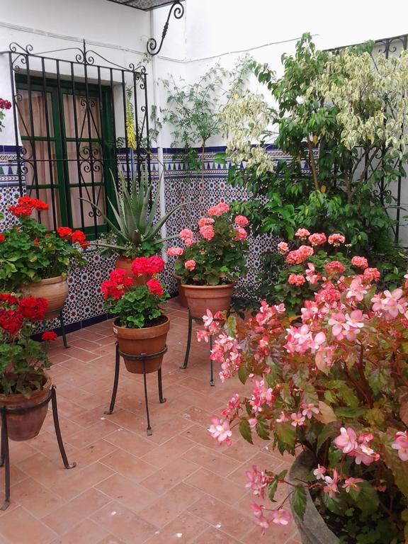 Hostal Enriqueta Marbella Exterior foto