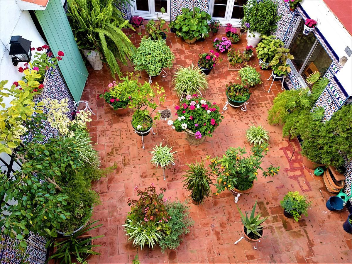 Hostal Enriqueta Marbella Exterior foto